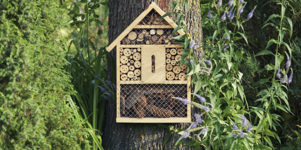 En hiver, tous solidaires avec les oiseaux et les insectes auxiliaires !