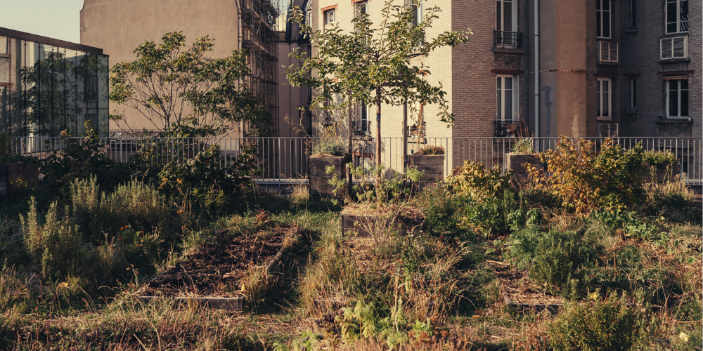 PREPARER L'HIVER AU POTAGER : LES 10 GESTES A ADOPTER !