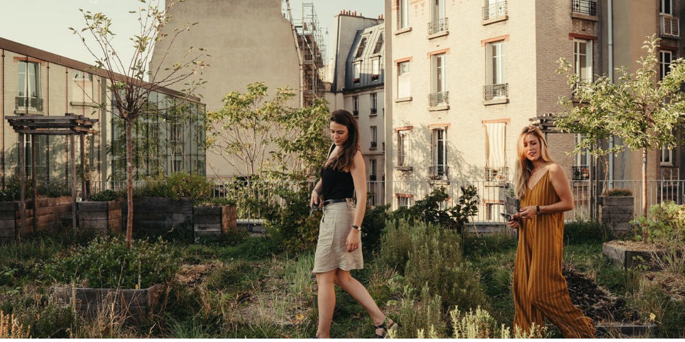 C'EST LA FIN DE L'ÉTÉ, MAIS PAS DU POTAGER !