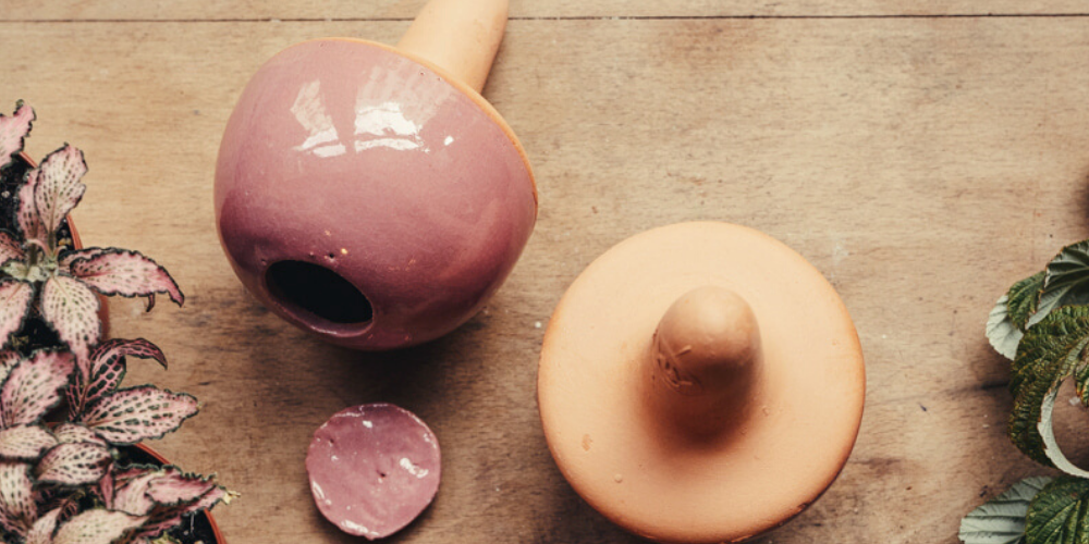 COMMENT ANNONCER A VOS PLANTES QUE VOUS PARTEZ EN VACANCES ?! 🌿 🌞