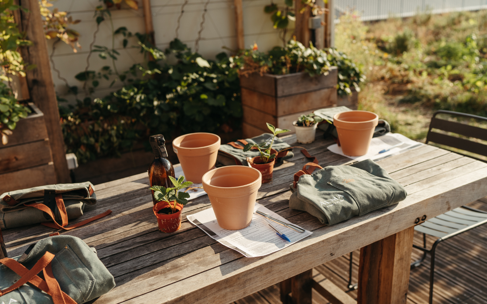 Des ateliers de jardinage urbain pour apprendre à faire ses semis, repiquage, rempotage ALMA Grown in town