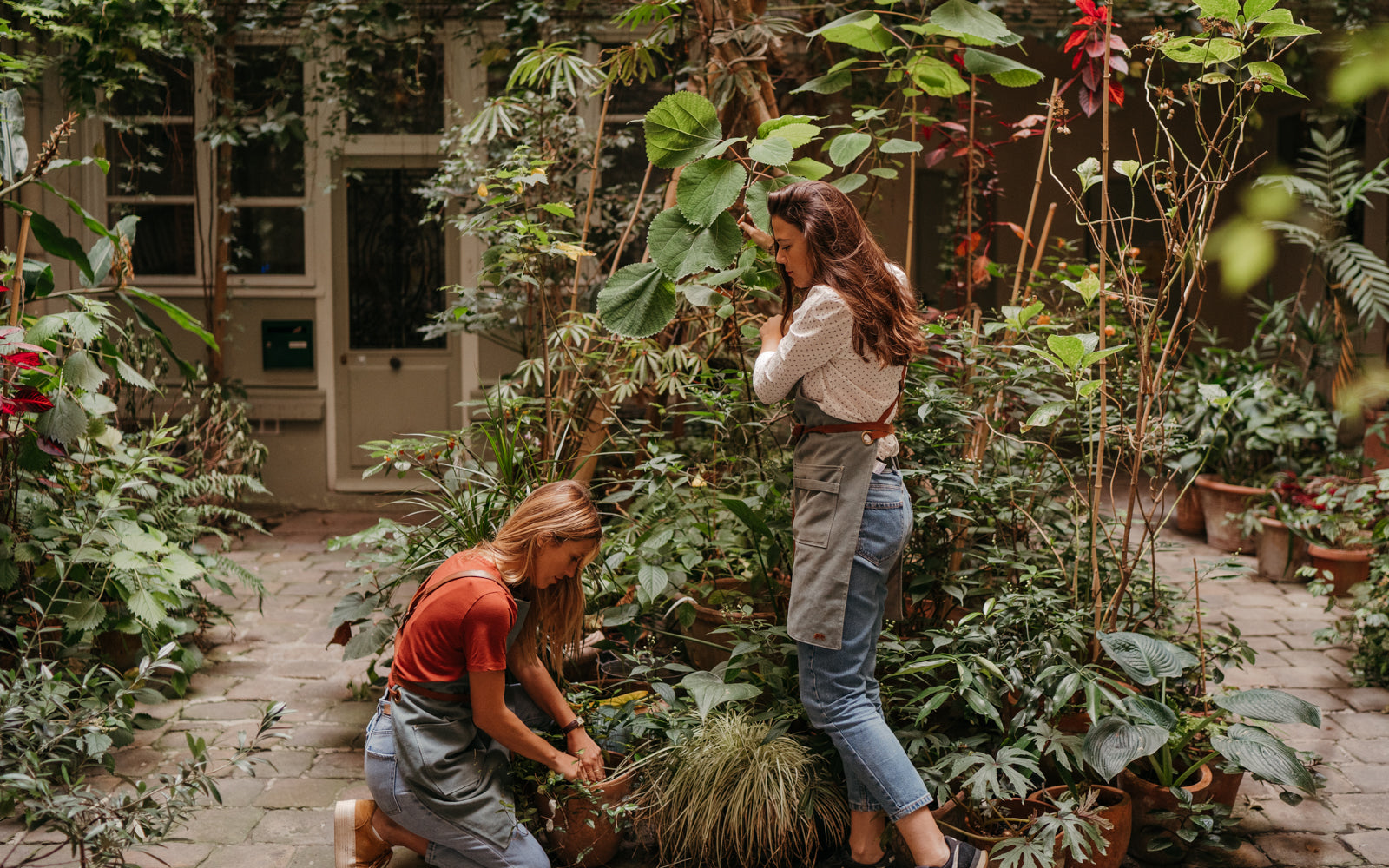 Service de végétalisation sur-mesure de balcon et terrasse à Paris. ALMA Grown in town