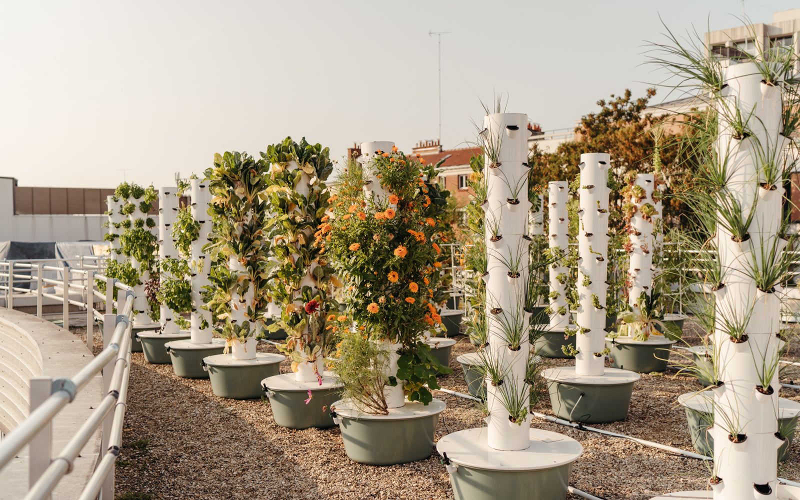 Des visites de fermes urbaines verticales sur les toits de Paris ALMA Grown in town