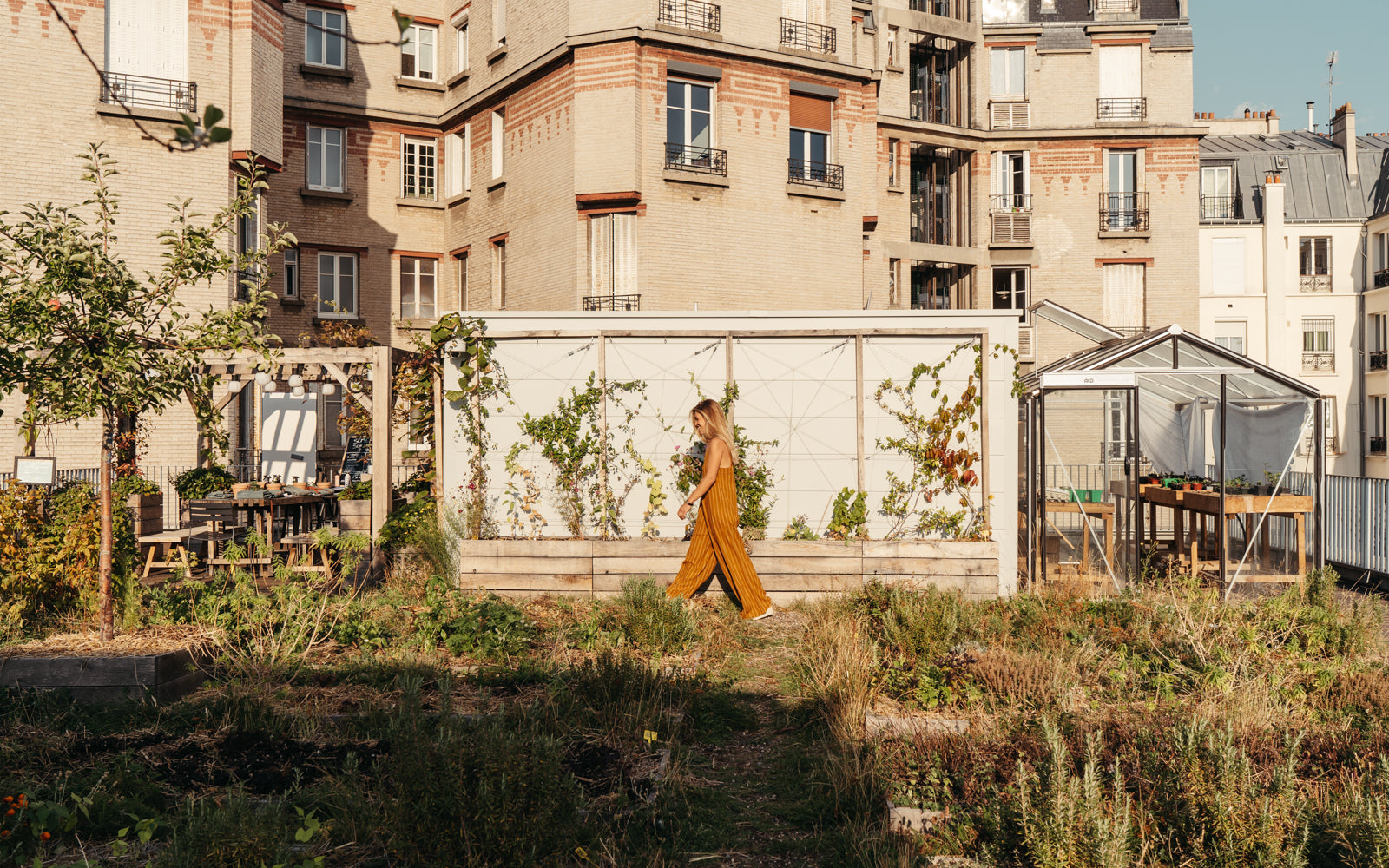 Potager urbain sur les toits de Paris. Végétalisation sur mesure. Jardiner en ville. ALMA Grown in town