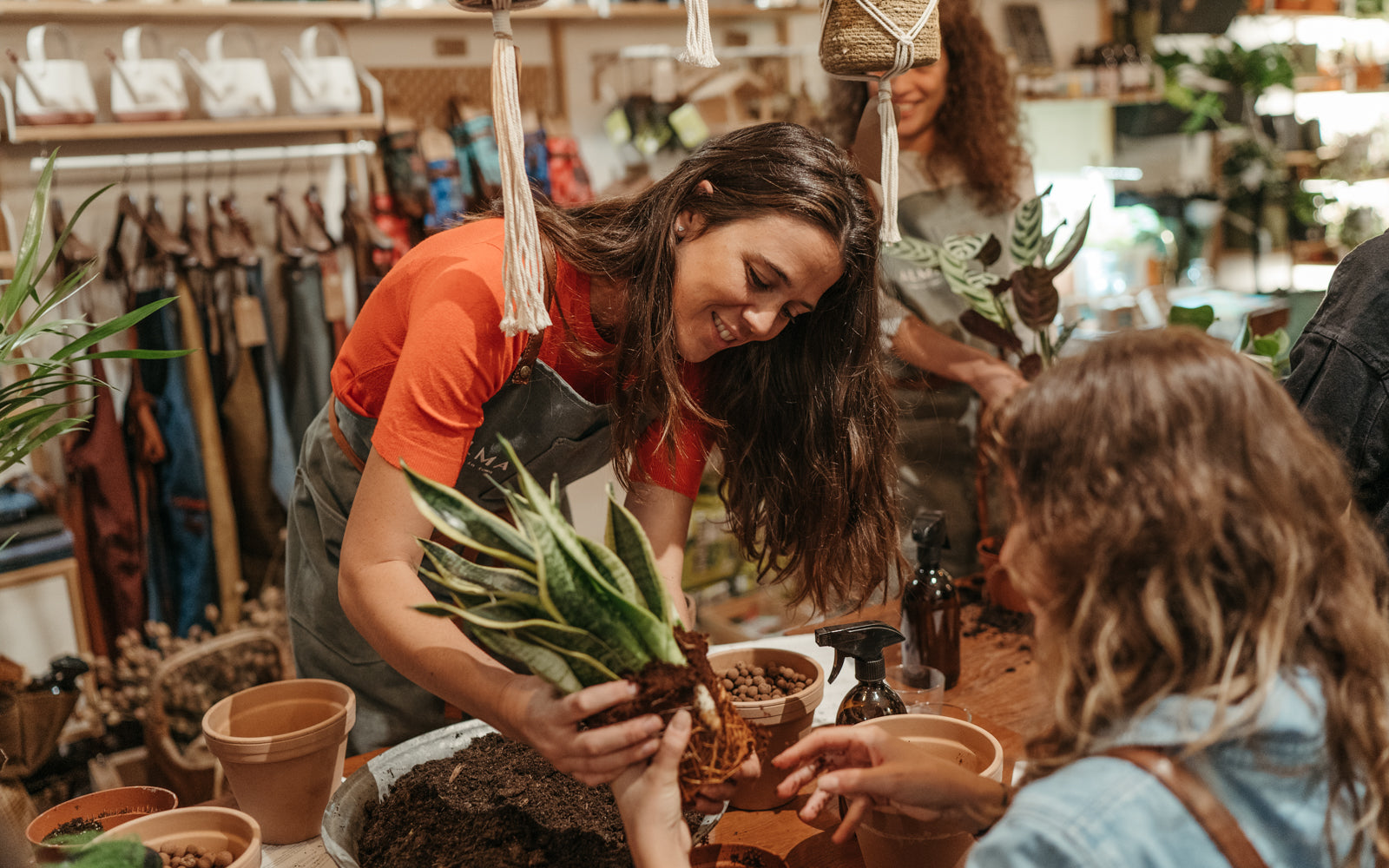 atelier végétal cactus et succulentes Paris apprendre entretien rempotage multiplication