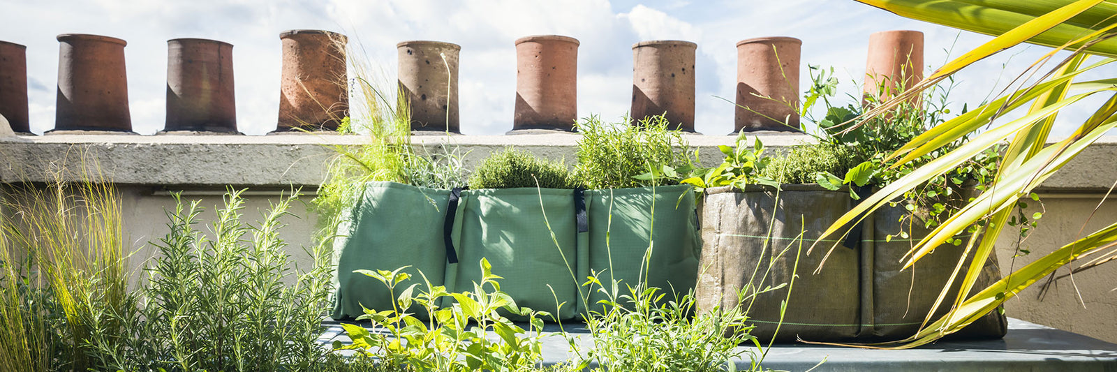 Potager urbain toit parisien