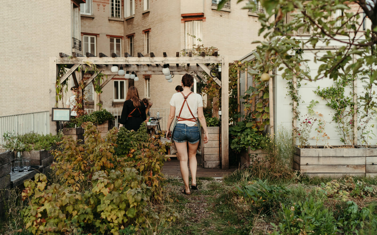 1/ Mon 1er potager urbain - semer, repiquer et entretenir mon potager en ville