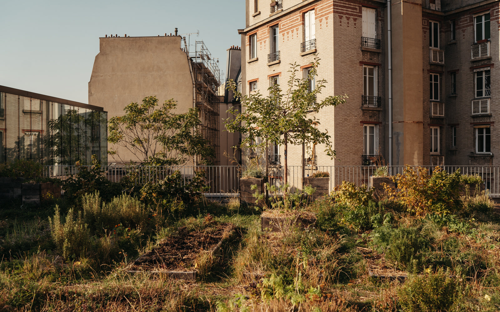 3/ Initiation à la permaculture en ville, pour nous citadins sans jardin !